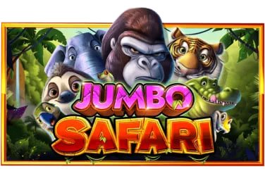 Responsible gaming and privacy reminder for 7000 com live casino users